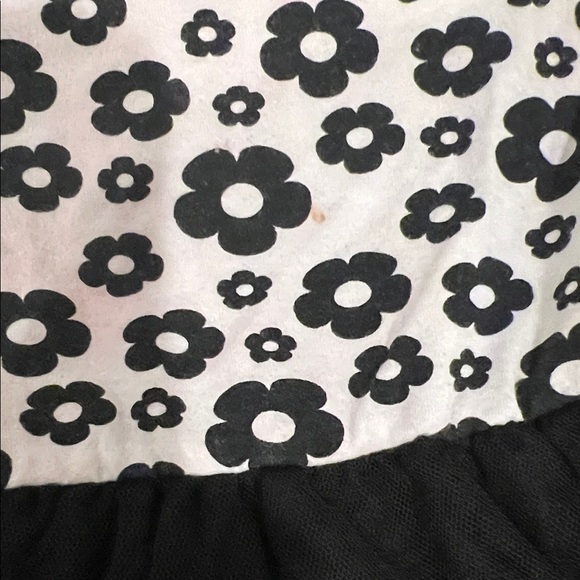 Good🎉 Condition FLAPADOODLES Floral Long Sleeve Dress with Black Tulle Skirt, 2T - Picture 11 of 13